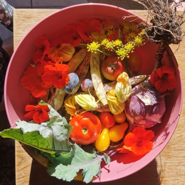 tečaji Rajski vrt izkušnja 1