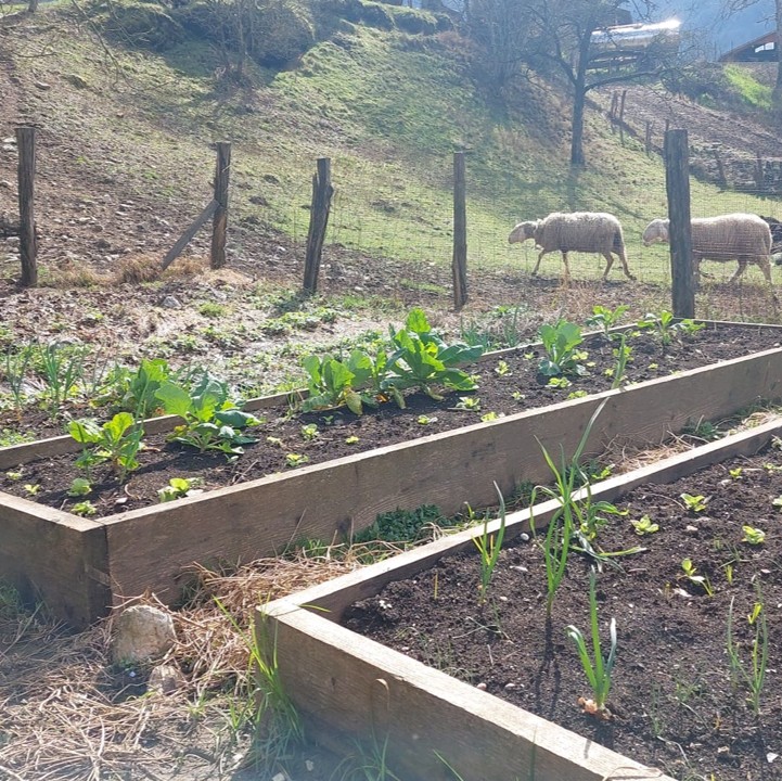 Rajski vrt izkušnje 3